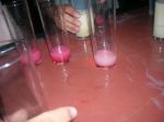 DSCN9658.JPG