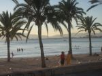 IMG_5630.JPG