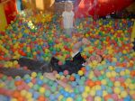PICT0043.JPG
